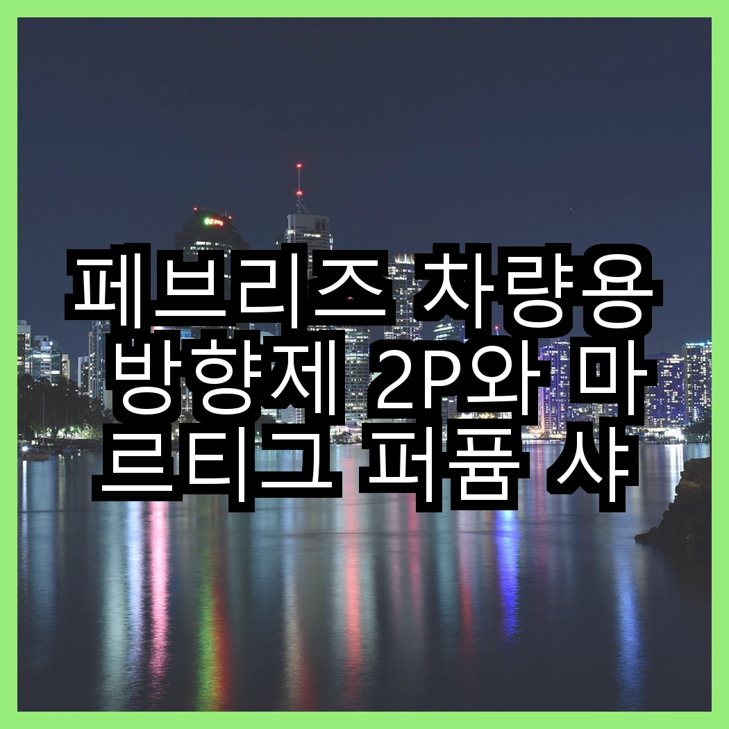 페브리즈 차량용 방향제 2P와 마르티그 퍼퓸 샤쉐 2P, 어떤 향기가 더 매력적일까? 썸네일