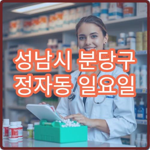 성남시 분당구 정자동 일요일 당번약국 IT·오피스 밀집 지역