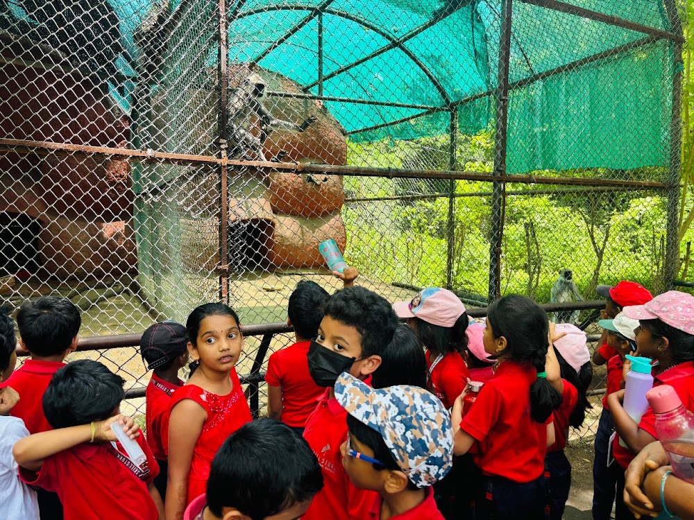 Kakatiya Zoological Park - Photo 3