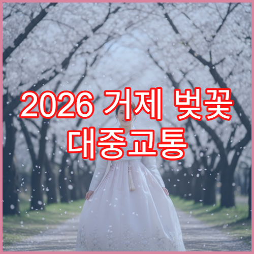 2026 거제 벚꽃 대중교통 통영버스터미널에서 장승포 40분 완벽 루트