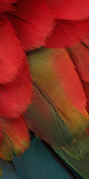 Google Pixel 7A Full HD iPhone Wallpaper Background