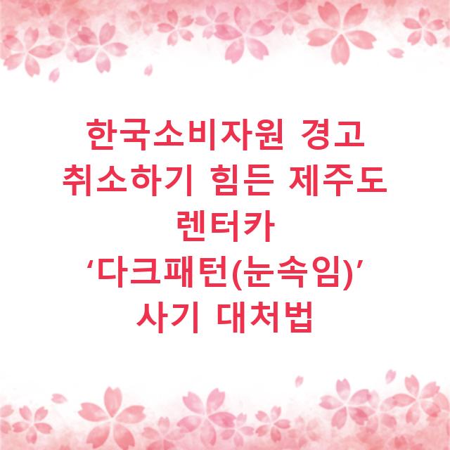 한국소비자원 경고 취소하기 힘든 제주도 렌터카 ‘다크패턴(눈속임)’ 사기 대처법