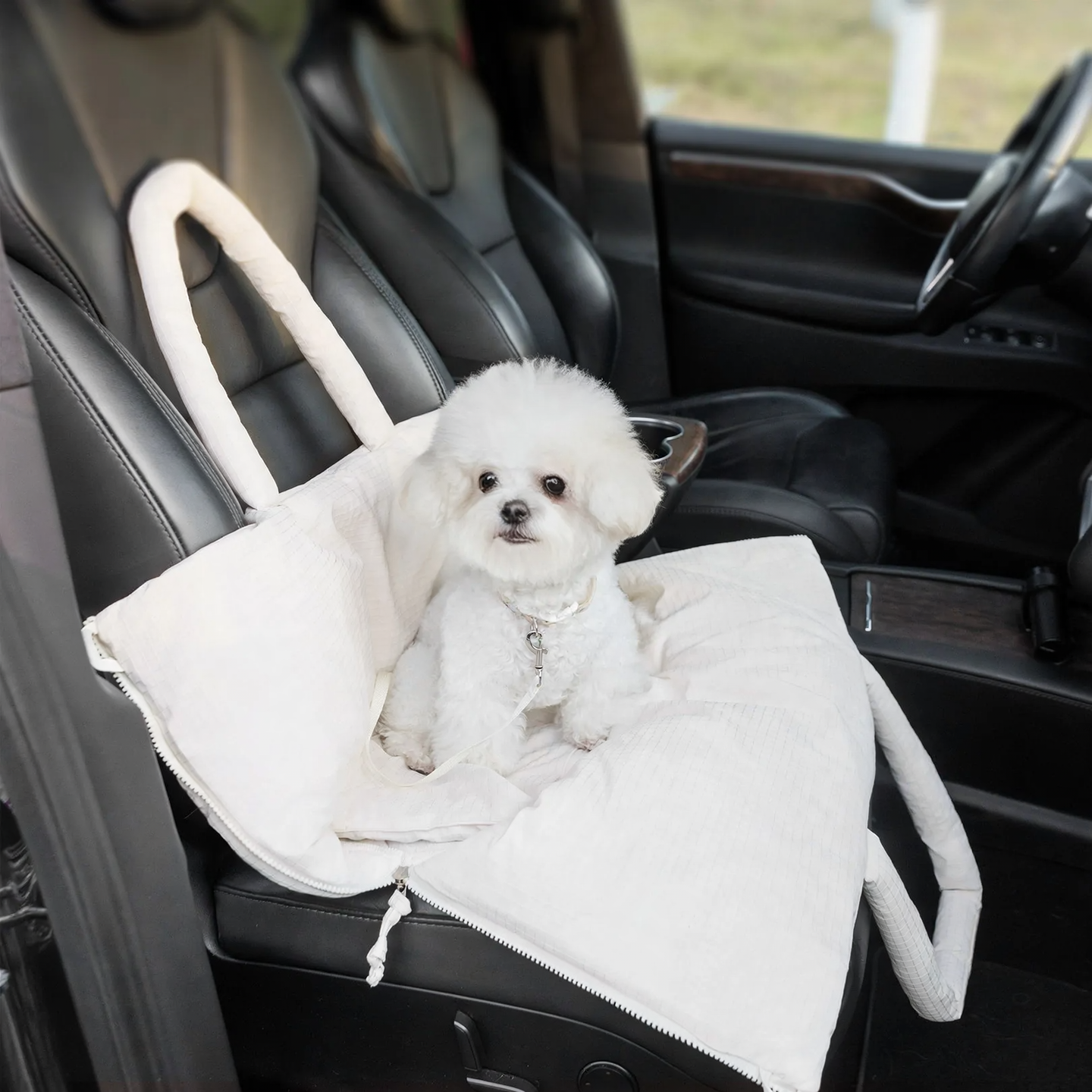 Portable Pet Carrier with Lounging Mat