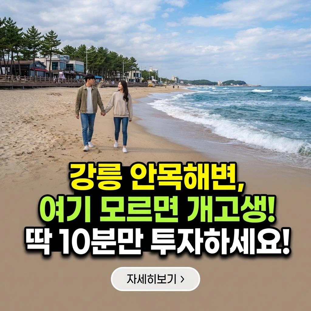 강릉 안목해변: 가족 여행 완벽 가이드 (2026 최신)