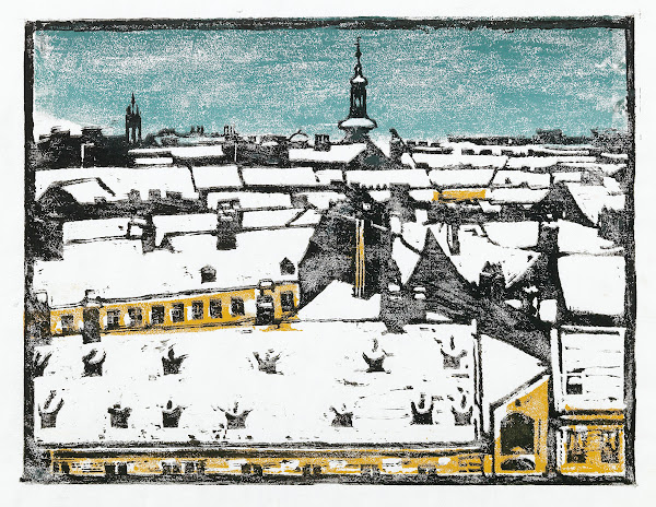 Alte Dächer  Freihaus