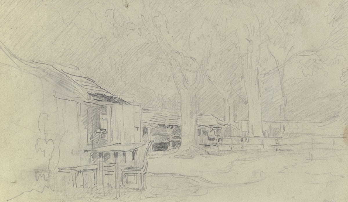 Chestnut trees
