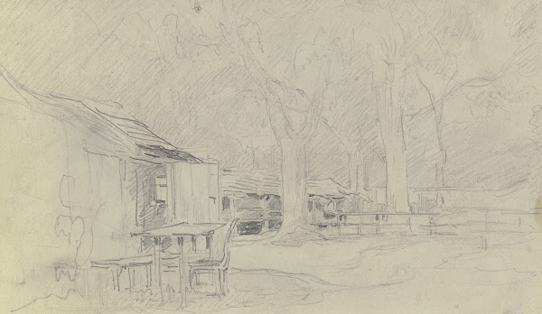 Chestnut trees