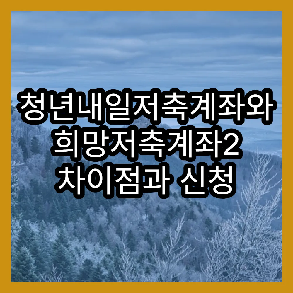 청년내일저축계좌와 희망저축계좌2 차이점과 신청 조건 분석