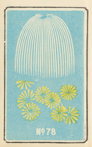 Illustrated Catalogue of Daylight Bomb Shells No 78 1883