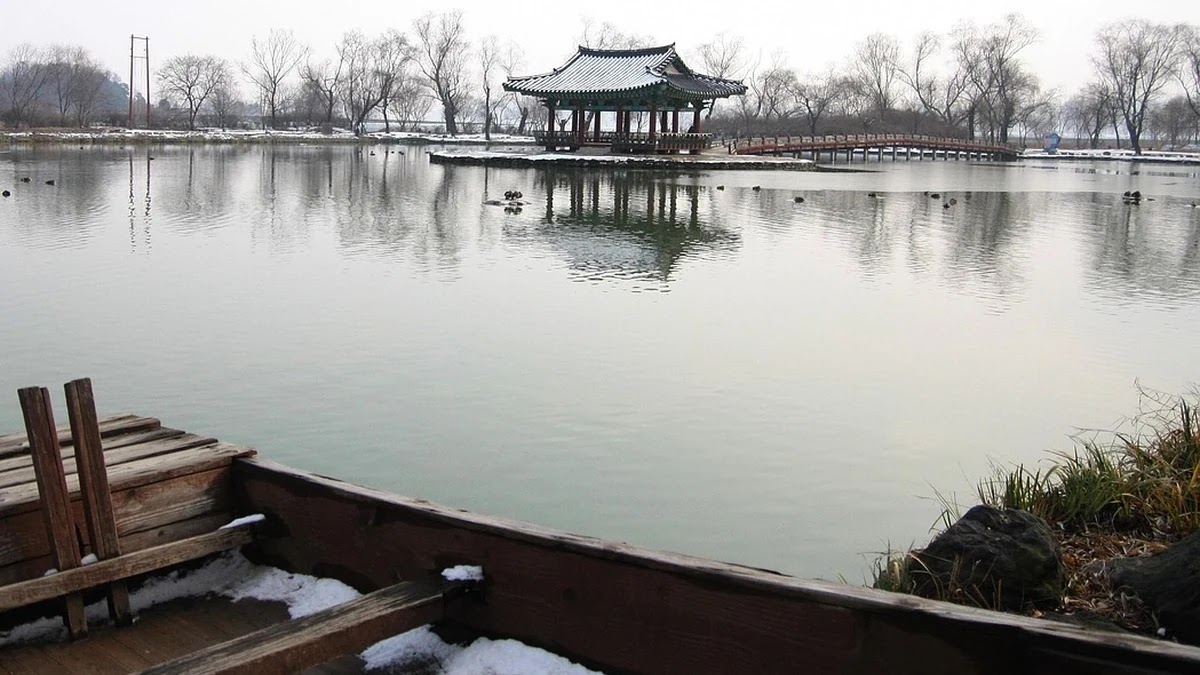 청년취업지원금 조건별 신청 전략과 활용법 비교