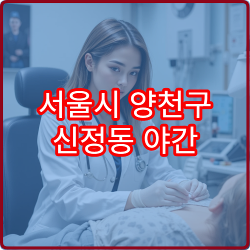 서울시 양천구 신정동 야간 진료 가능한 이비인후과 갑작스러운 귀 코 증상 대비
