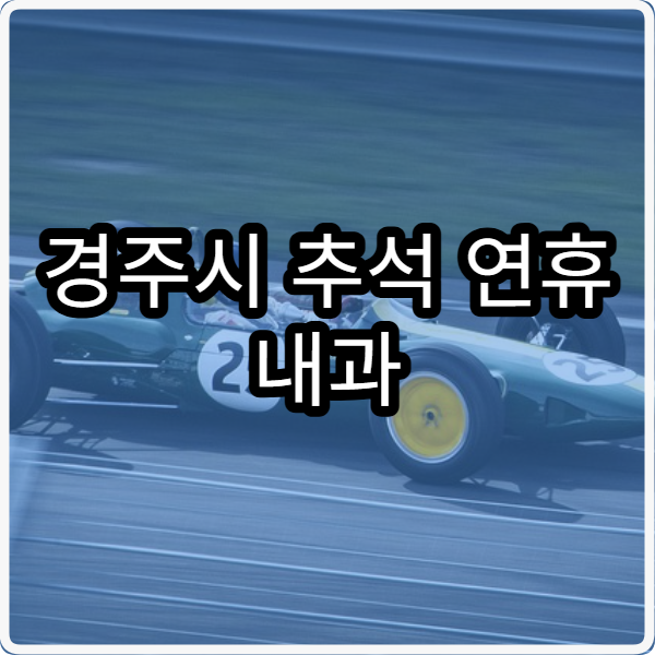 경주시 추석 연휴 내과 진료 병원 어디서 확인할까