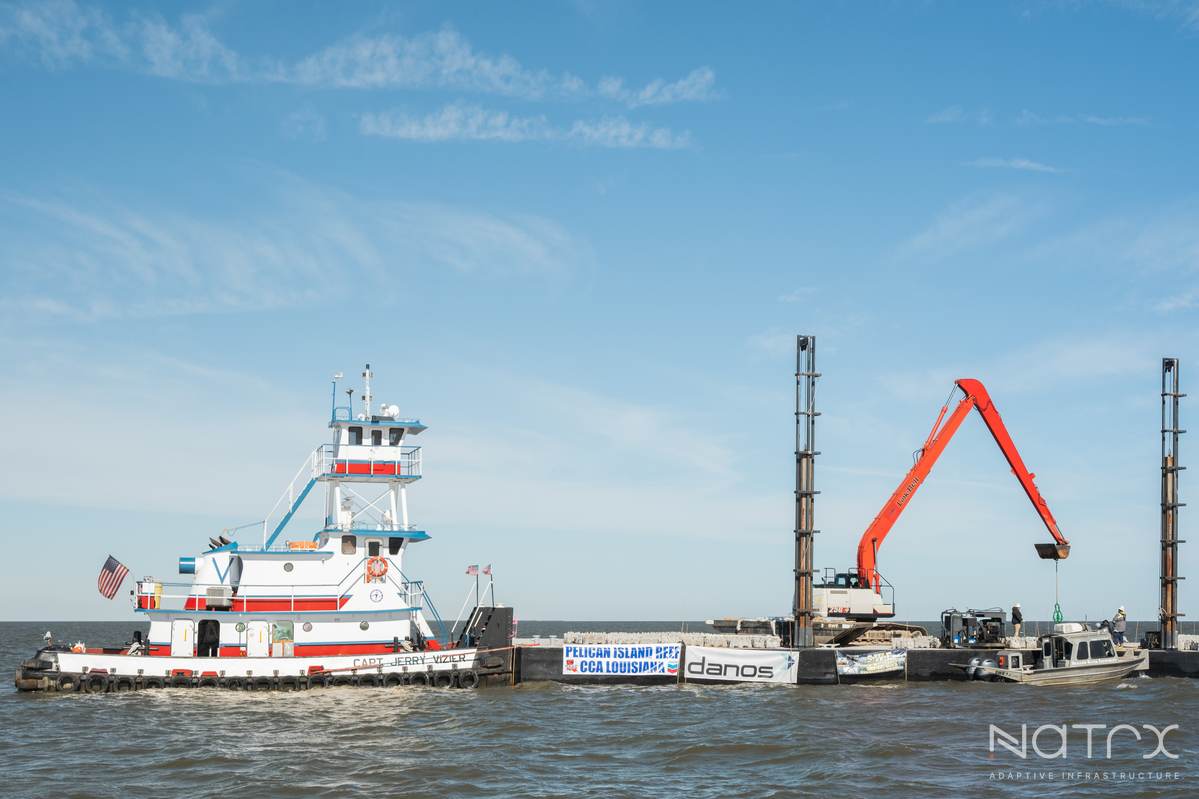 Pelican Island Reef Install-8.jpg