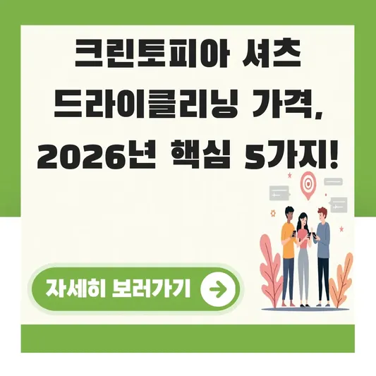 크린토피아 정장 셔츠 드라이클리닝 가격