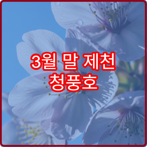 3월 말 제천 청풍호 벚꽃 자전거 대여 호수 라이딩 코스