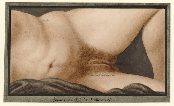 Femme noire daprès nature