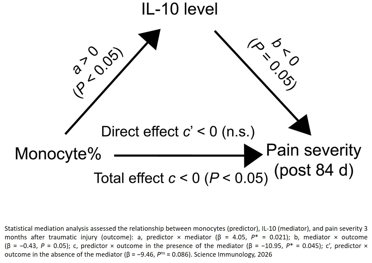 Monocyte-derived IL-10 drives sex differences in pain duration