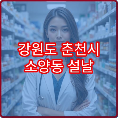 강원도 춘천시 소양동 설날 연휴 당직약국 문 여는 약국 한눈에 보기