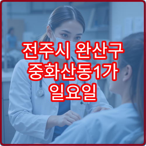 전주시 완산구 중화산동1가 일요일 진료 피부과 피부 트러블 치료