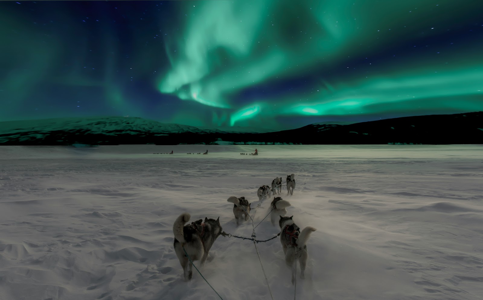 Arctic activities, Levi