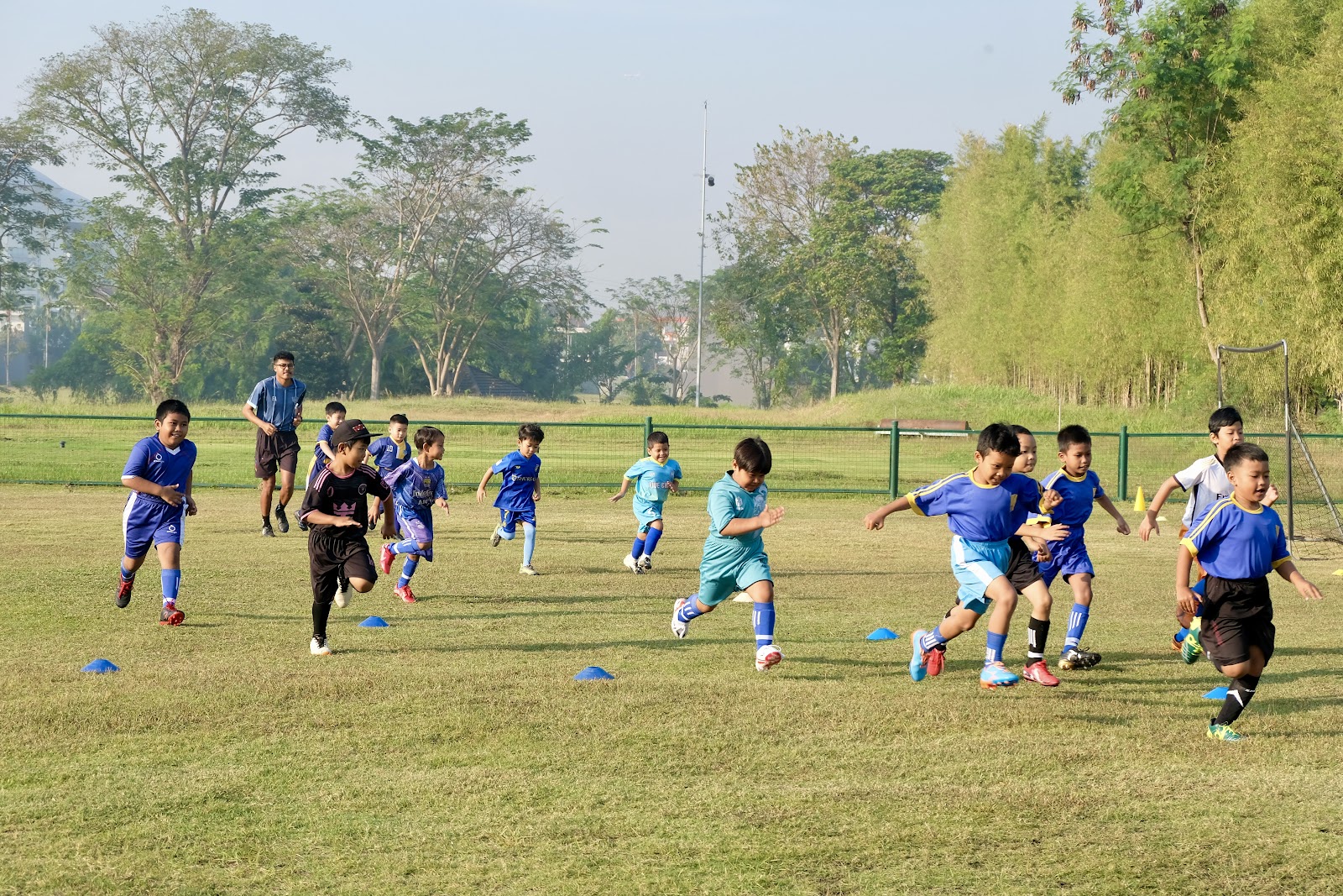 Tigers Academy gallery photo