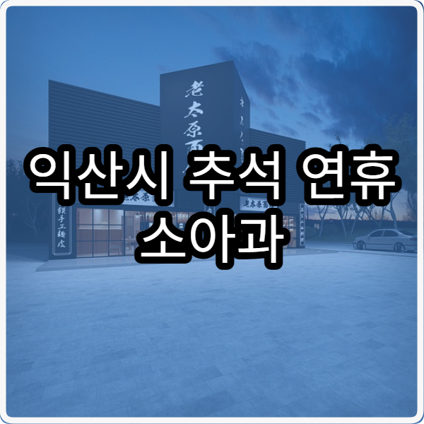 익산시 추석 연휴 소아과 진료 병원 찾기, 이용 꿀팁
