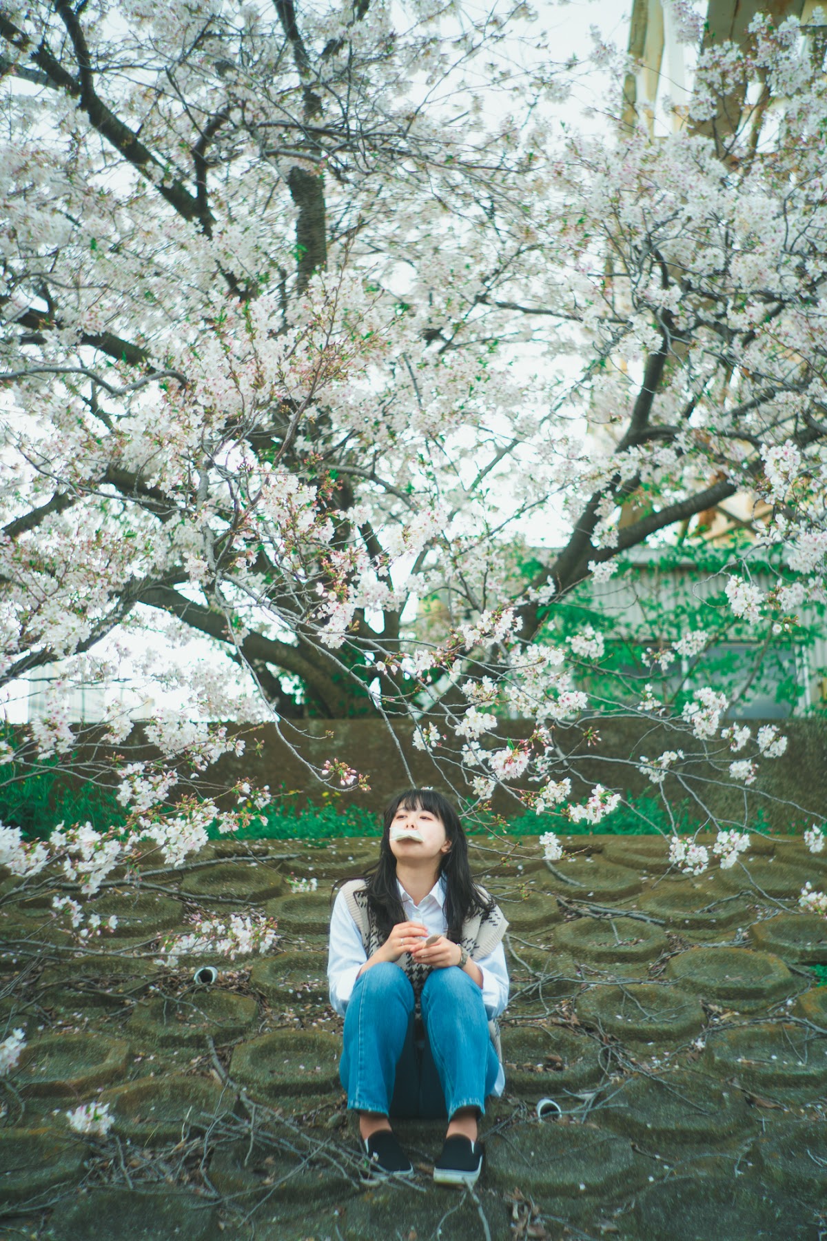 Mina #141 — Makino Shota
