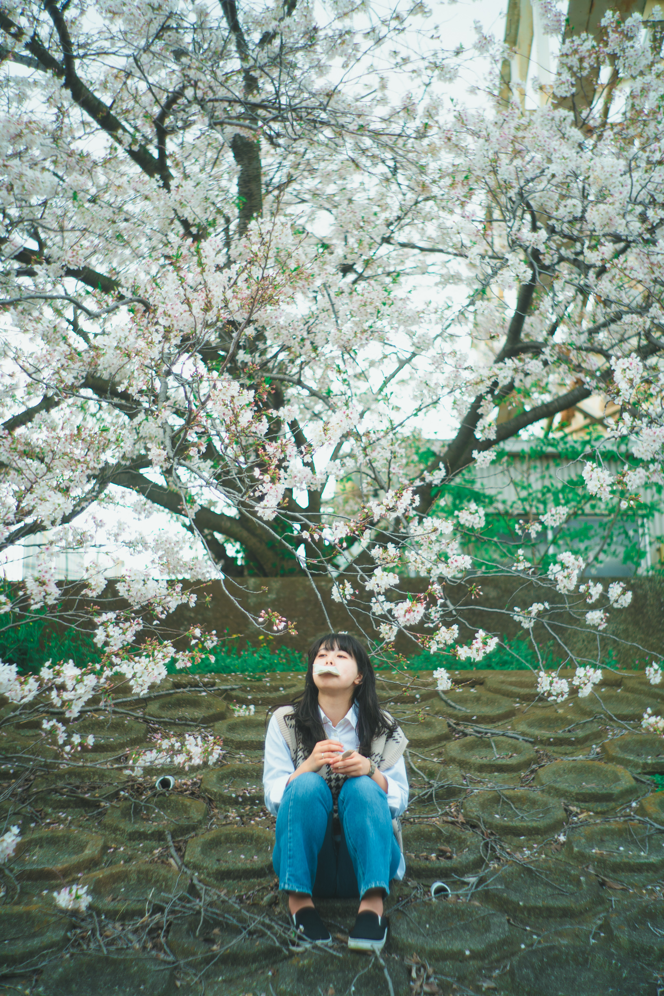 Portrait — Makino Shota