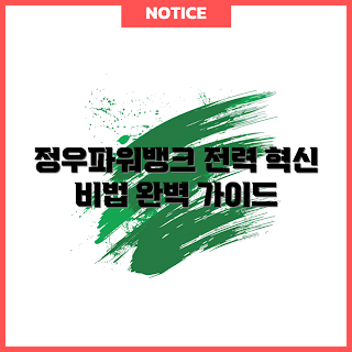 정우파워뱅크, 전력 혁신, 에너지 전문가, 전력 관리, 전기 초보