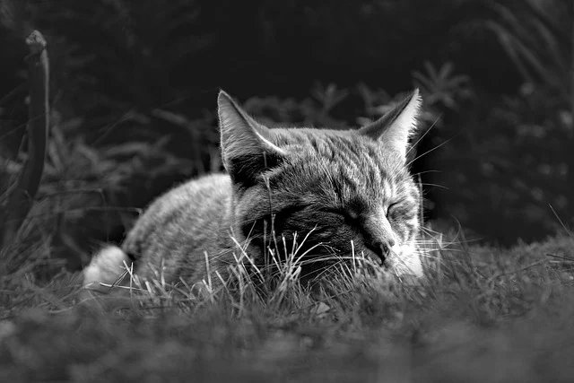 Gambar Ilustrasi Artikel