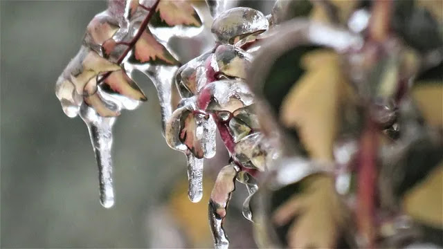 요즘 사람들은 왜 유료 앱보다 무료 툴을 선호할까?