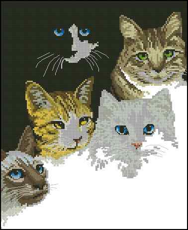 CMP 400490 Cats Eyes