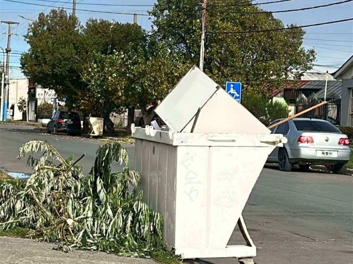 Cuidar la ciudad también es hacer un uso responsable de los contenedores