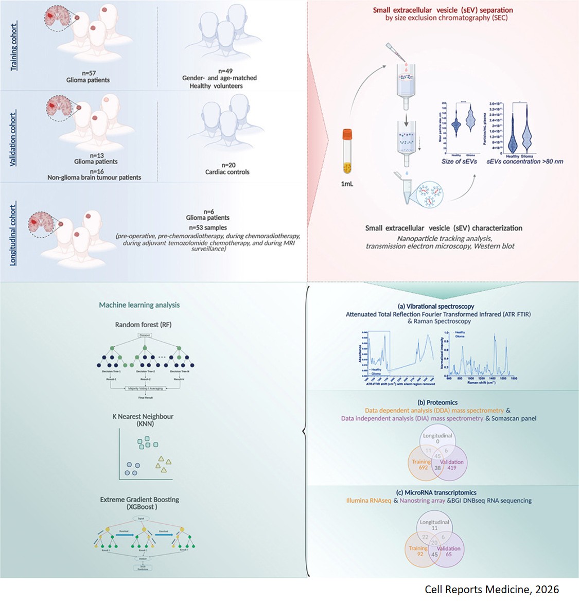 Combined multi-omics and multi-spectral profiling of plasma extracellular vesicles reveals liquid biopsy biomarkers for glioma diagnosis