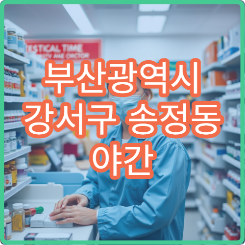 부산광역시 강서구 송정동 야간 약국 심야 이용