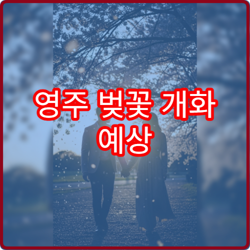 영주 벚꽃 개화 예상 영주 봄꽃 개화 정보