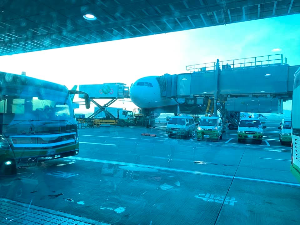 好里加在🤣