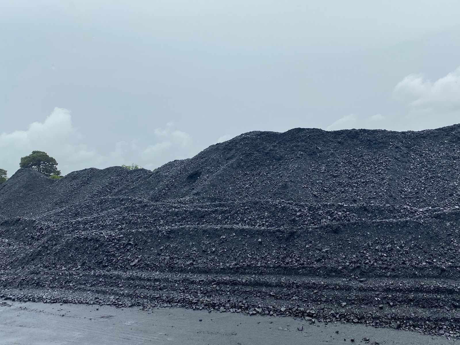 Beneficiated Coal