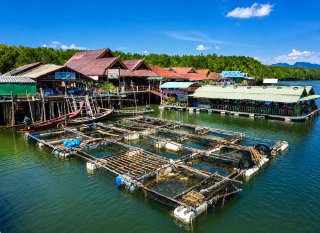 AMAZING PHANG NGA + BEYOND SKYWALK SAMET NANGSHE (1-DAY TRIP) 7