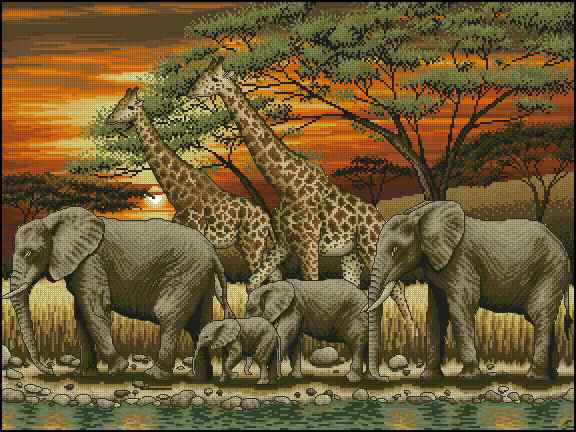 CMP 400771 African Sunset