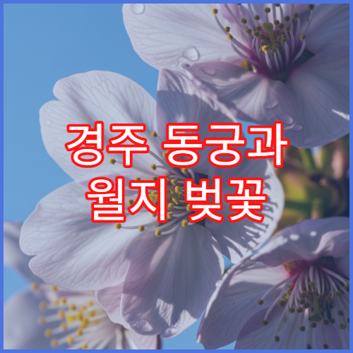 경주 동궁과 월지 벚꽃 인생샷 포토존 TOP5 연못 반사 촬영 가이드