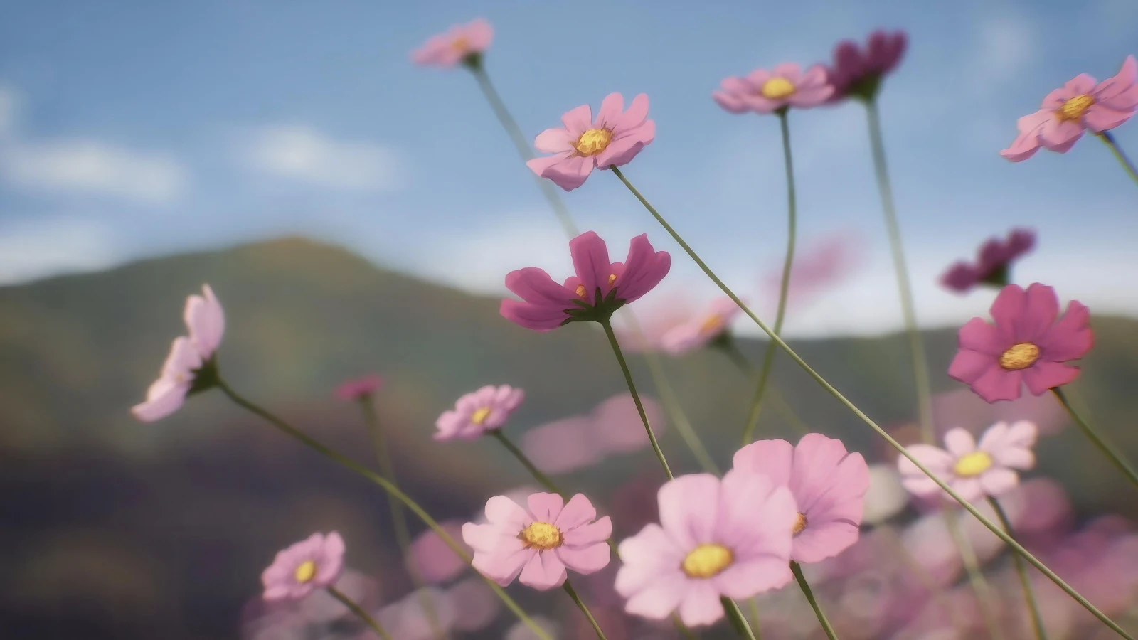 Blooming Pink Cosmos Flowers - Anime Digital Art 4K Wallpaper (3840x2160)