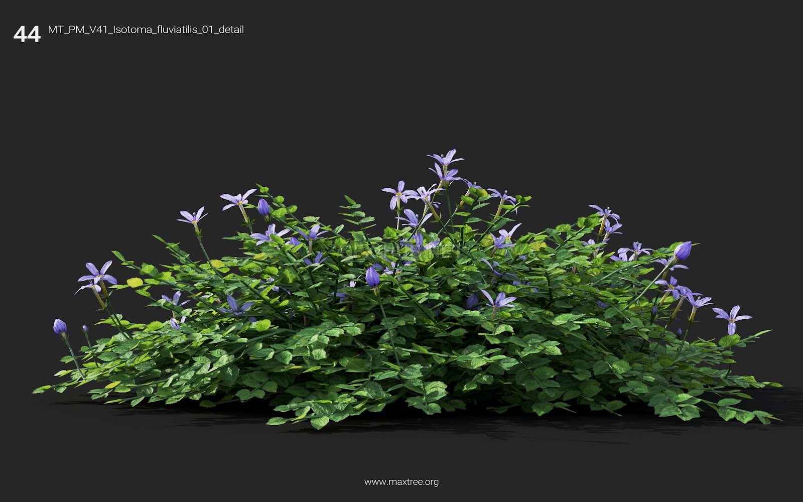 Maxtree - Plant Models Vol.41
