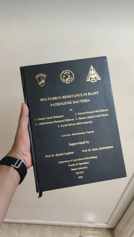 Graduation Project