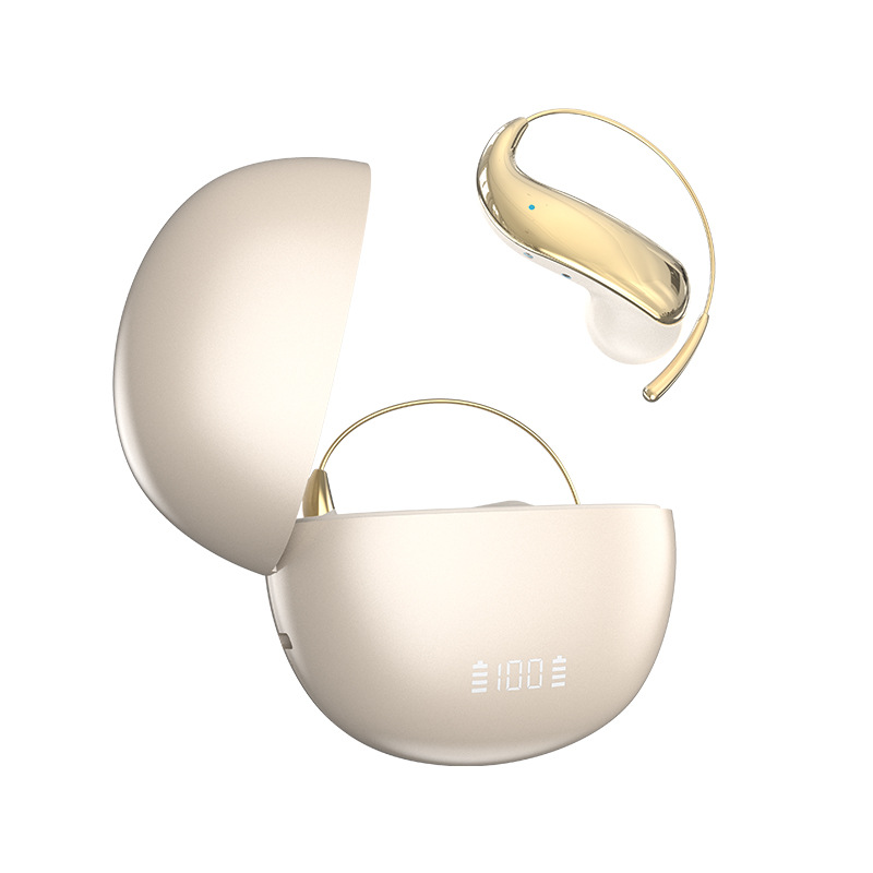 Wireless hanging earbuds with AI translation