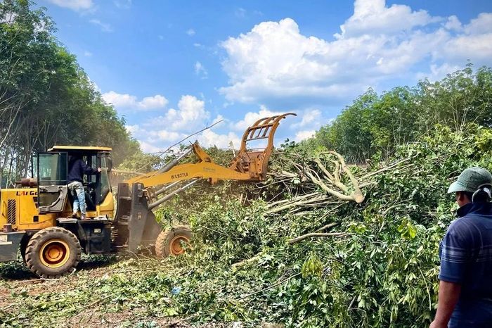Gấp rút dựng nơi ở mới cho người dân vùng dự án cao tốc Quy Nhơn - Pleiku - Báo Gia Lai