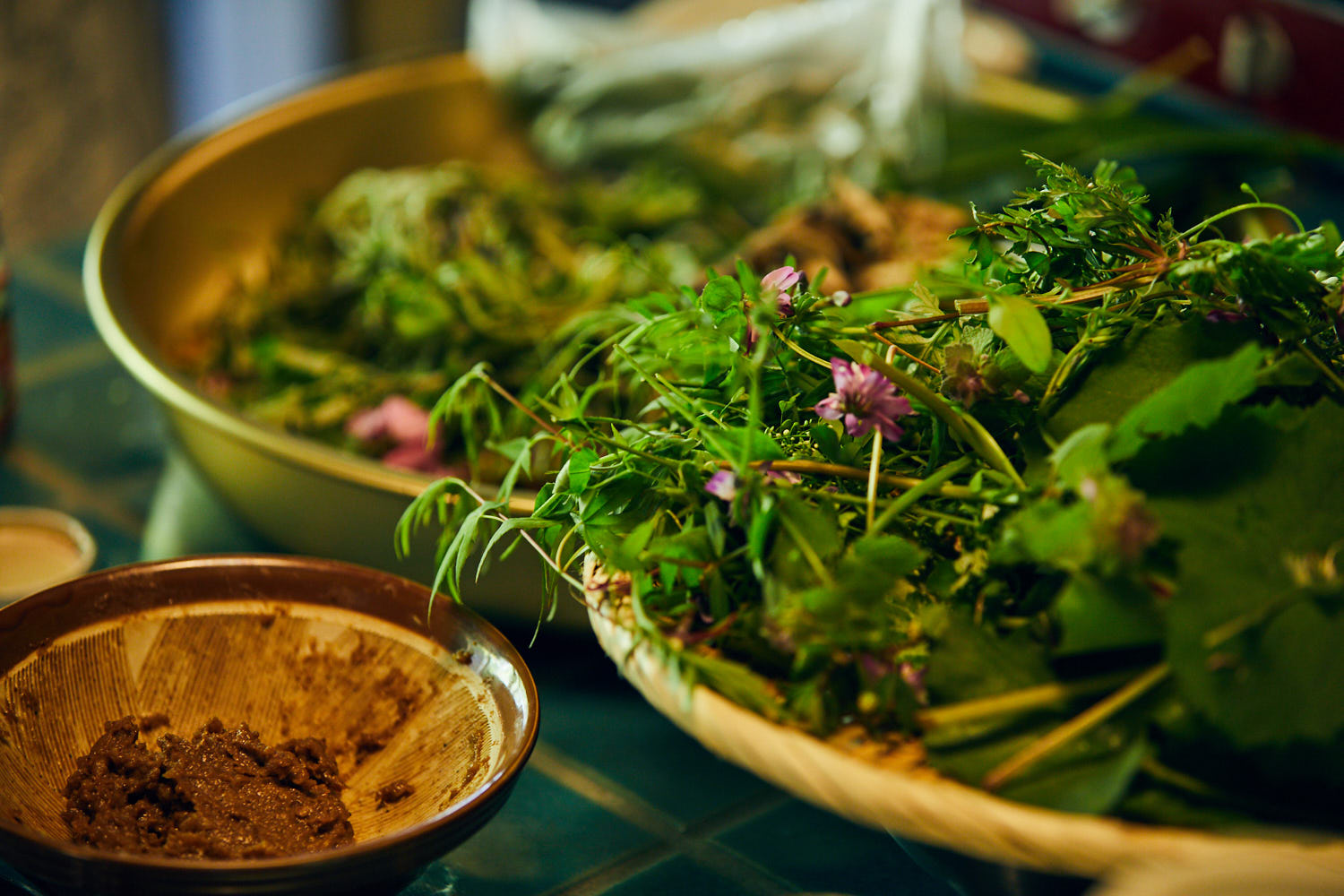 長濵　安子の画像１