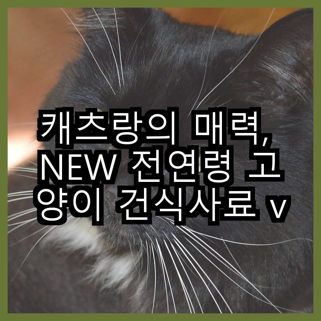 캐츠랑의 매력, NEW 전연령 고양이 건식사료 vs 리브레 5kg 2개, 어떤 선택이 더 좋을까? 썸네일
