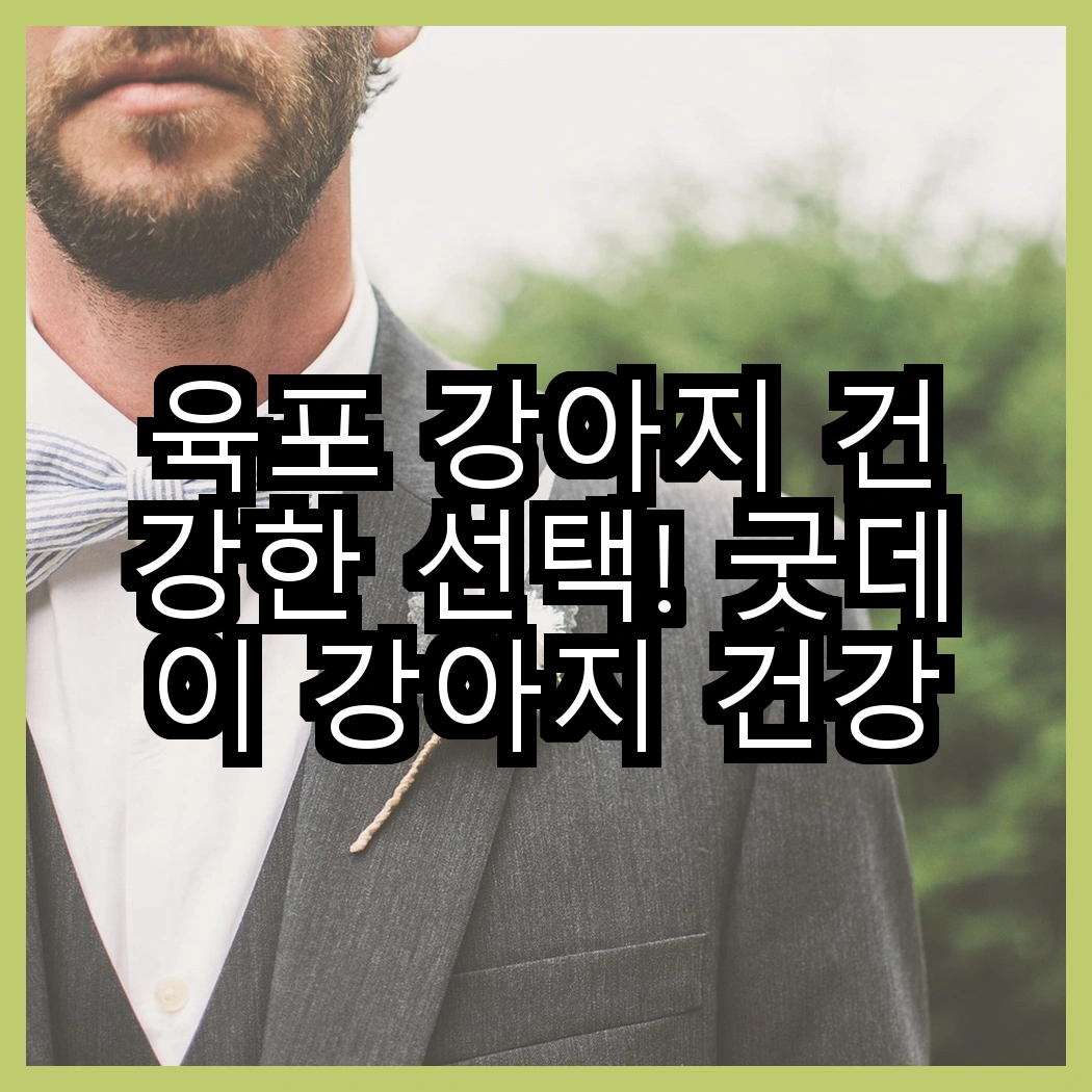 육포 강아지 건강한 선택! 굿데이 강아지 건강한 육포 vs 굿데이 건강한 육포 강아지 간식, 어떤 것이 더 매력적일까? 썸네일