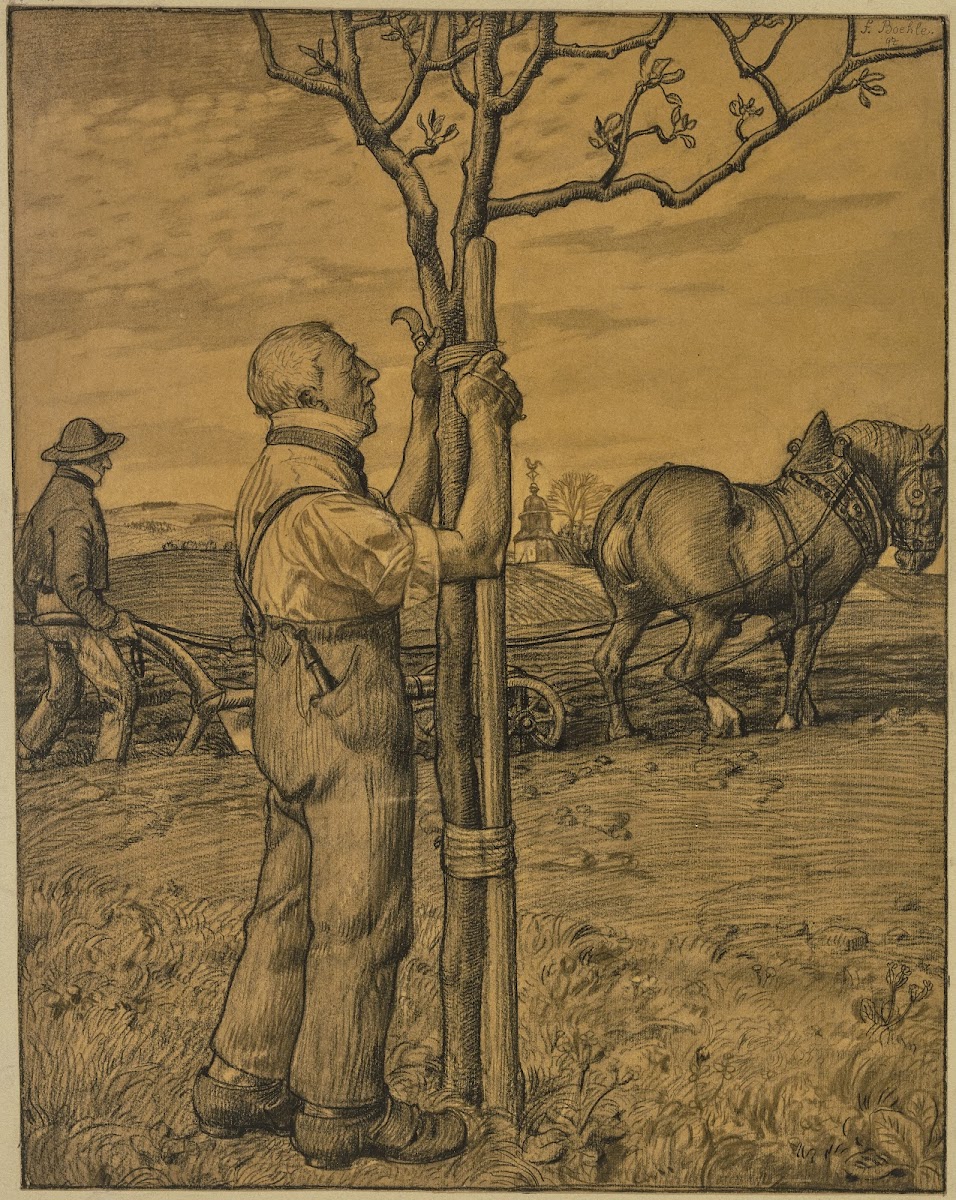 Gärtner einen Baum anbindend 1897